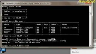 MySQL Tutorial for Beginners Part 2  Adding Data to Tables in a Database