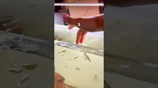 3 mistakes to avoid if you own a fish tank ❌ #fishtank #aquarium #fishfood #fishtanksetup #fishvideo