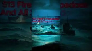 The Deadliest Shipwreck💀 #ship #shipwrecks #sinking #wilhelmgustloff #disaster #edit #capcut