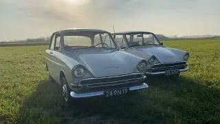 Daf 33 vs Daffodil