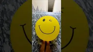 POV: Emoji Balloon Rolling Down the Stairs 😲💧 | ASMR Satisfying Water Test!