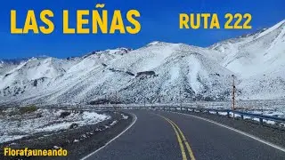 Ruta  222 hacia Las Le&ntilde;as