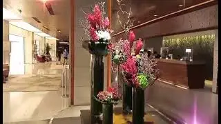 Marco Polo Hotel 🤔