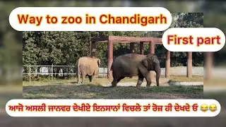 ਛੱਤਬੀੜ ਚਿੜੀਆਘਰ ਚੰਡੀਗੜ੍ਹ-1st part #zoo #chandigarh #chhatbirzoo 