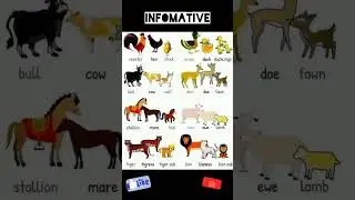 Informative meaning