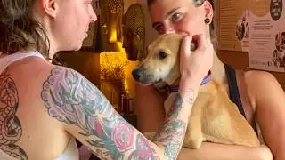 Yoga Dicha Studio in Tulum, Mexico
