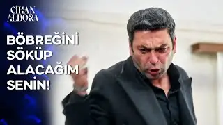 Alboralar'ın Yüz Karasısın Sen!