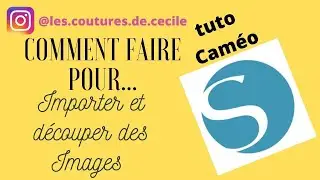 Tuto (cam&eacute;o silhouette comment importer et d&eacute;couper une image) superposition de flex mod&egrave;le Sonic
