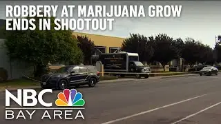 Several Injured After Shootout at San Leandro Marijuana Grow