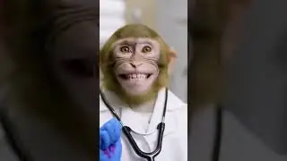 When your beauty doctor is a monkey! 🐒✨ #GroomingGoesWild #MonkeyMagic #BeautyPrank #ViralComedy #Go