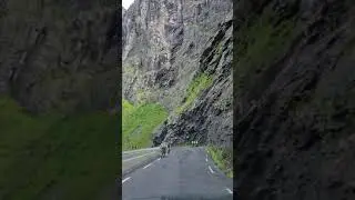 Most dangerous drive, Trollstigen Norway. #shorts #norway #visitnorway