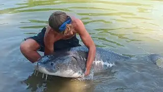 Sturgeon il mostro!! Pesca allo storione con canna da carpa., 1 ora di combattimento