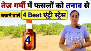 Best tonic जो गर्मी के तनाव से फसल को बचाएंगे | green miracle | sabji ki kheti | organic fertilizer