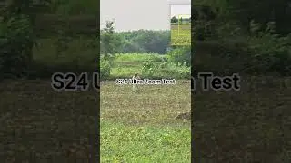 Samsung S24 Ultra Camera Zoom Review | Ultra Wide to 100x