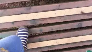 POLLY'S BLUESTONE VLOG - PART 1 | OUR LITTLE EYES
