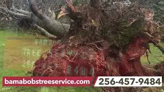 Bama Bobs Tree Service