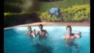valew paulinea..