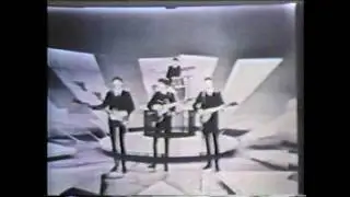 Beatlemania's 20th Anniversary (1984)