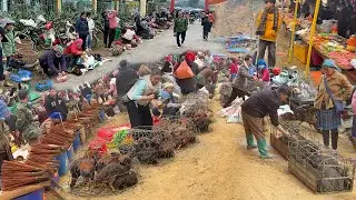 CHỢ PHIÊN CÁN CẤU LÀO CAI NHỮNG NGÀY CUỐI NĂM - KHÔNG KHÍ SẮM TẾT ĐÃ BẮT ĐẦU