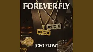 Forever Fly (CEO Flow)