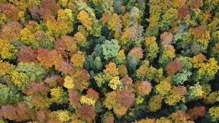 Eninger Weide - Indian Summer
