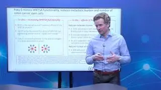 BioStock | WntResearch | Bolagspresentation