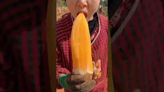 Alexa eats sweet fruits, not bitter fruits