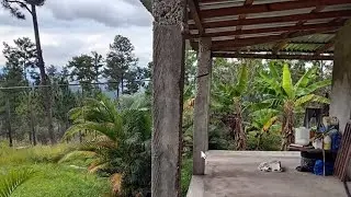 Finca Barata Con Casa $31,000 En Venta