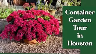 June 9, 2022 Container Garden Tour, Houston TX