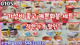 26년01월05일 #수선화님 010-5462-7237 #다육판매 #화분판매 #세트할인가로 갑니다