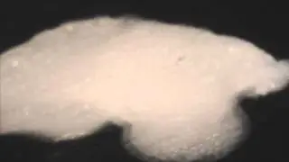 Pent-Up Anger: An Experimental Film