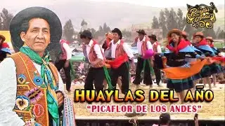 Picaflor de los Andes - HUAYLAS DEL AÑO