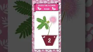 Guess the Flower name in 5 seconds #challenge #puzzles #quiz #puzzletime #flower