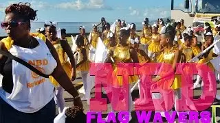 NBD flag wavers at opening of Carnival (Dominica) 2015