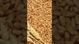# avoid maida foods# un healthy# subscribe and comment below and like and share this video # part-2