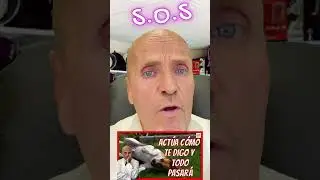🚨 &iquest;QU&Eacute; HACER SI MI PERRO TIENE CONVULSIONES Y BABEA? 🚨 EPILEPSIA EN PERROS