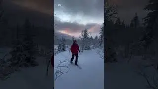 Over the River, Through the Woods