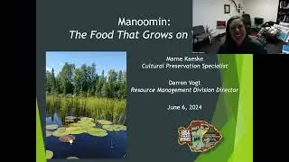 Manoomin (Wild Rice):  The Food That Grows on Water! | Water Wisdom Series