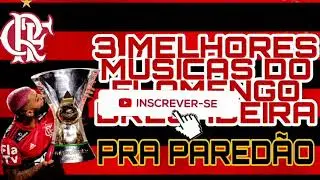 AS 3 MELHORES MÚSICAS DO FLAMENGO  - BREGADEIRA PRA TOCAR NO PAREDÃO