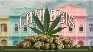 Phuket Old Town's BEST Cannabis Shops Walk Through Tour!