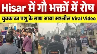 Hisar में गौ भक्तों में रोष, युवक का पशु के साथ आया अश्लील Viral Video