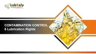 The 6 Lubrication Rights
