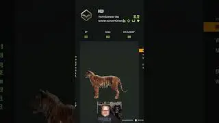 Bengaltiger in Orange im Jagdrevier Sundarpatan - GOLDKatzi! #thehunter #silverbeard_x