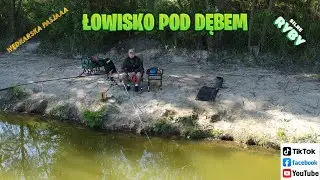 ŁOWISKO POD DĘBEM🎣 BARDZO SILNE RYBY 🐟