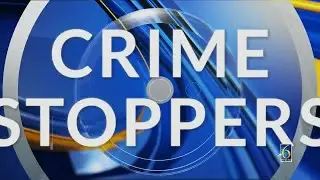 Crime Stoppers: Do you recognize these people?