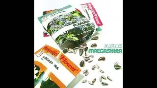 maegashira「HAPPY」