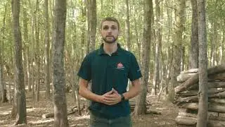 Инструкция по безопасности при работе с лазером в лесу **В этом видео есть несколько мигающих огней** - Wild Park