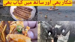 Hunting, Camping & Cooking Recipe | Yummy food Ideas 