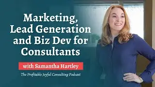 Marketing, Lead Generation and Biz Dev For Consultants