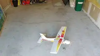 Multiplex MiniMag